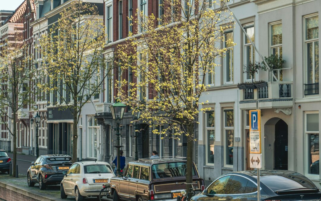 Beter benutten van parkeercapaciteit in Den Haag